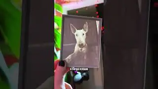 чеб еще намутить..) #3дпринтер #3дпечать
