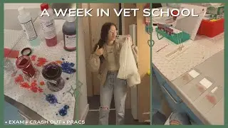 A Week in Vet School | Midsems, Labs & Meltdowns | Vet School Vlog #12