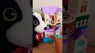 white puppy can't take big euro coin?! 🐩🐕 #satisfying #coinbank