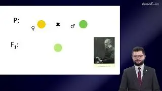 Кривошеев Д.М. - Введение в молекулярную биологию - 1. История развития генетики