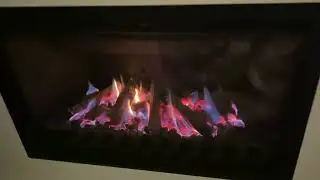 Escea gas fireplace