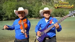 (OFFICIAL VIDEO) Maria's Revenge - Reales de Yucutindoo 2025