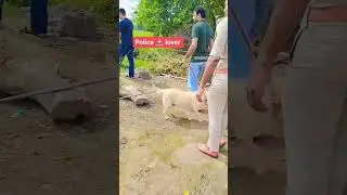 #bihar #police #dog squad ke dwara sarab chek