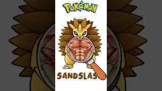 Pok&eacute;mon Anatomia Sandslash #shorts #pokemon #sandslash