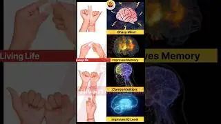 Hand exercise for improving IQ level concentration improve memory sharp mind do it for 5 minutes