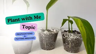 Does your potting medium matter? PART 1