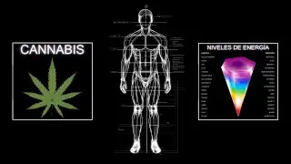 🌿Los Efectos Silenciosos de la MARI JUANA en el Esperma y en la RETENCI&Oacute;N SEMINAL (NoFap)🔋