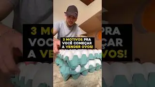 3 motivos pra voc&ecirc; come&ccedil;ar a vender ovos! 🥚 #rendaextra #renda #vendas