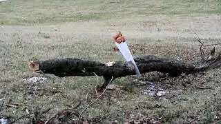 Clearing Wood After The Weekend Storm in Indiana