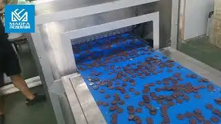 Golden Coin Chocolate Production Line