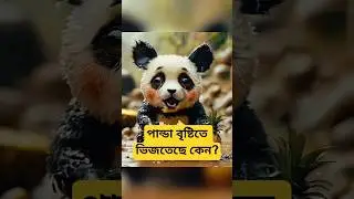 POOR panda #ai #panda #aifacts #panda #foryou #trending #viral