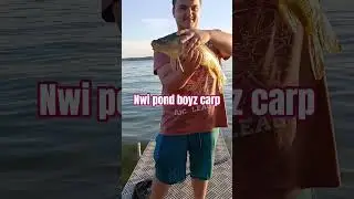 Carp fishing cedar lake Indiana #pondboyzz #nwi #cedarlake  #fishing