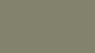 Olive Paste   Ambient Color Screen 10 Hours