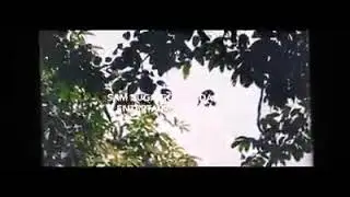 one of the greatest videos produced by the CEO of Zugacoin.