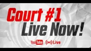 Court #1 Live Stream (Elgin, IL)