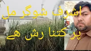 please watch full videos ashraf sugar  mill