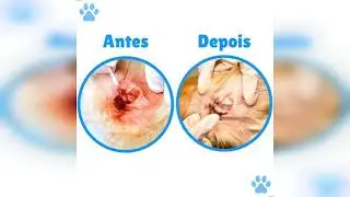 Review: Limpa Ouvido Limpador De Orelhas Para C&atilde;es E Gatos 100g