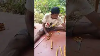 Cinnamon Harvesting | Traditional Spice Farming Process