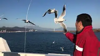清水マリンパーク