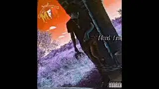 MFN Chivo - Need em Engineered By MFN Roostone