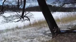 A walk along a large lake. A short video by Haldor Paulsson.
