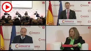 S.M. el Rey destaca el apoyo que brinda la Cámara de España a la internacionalización