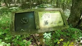 Arrowhead Prov. Park: Beaver Meadow Trail