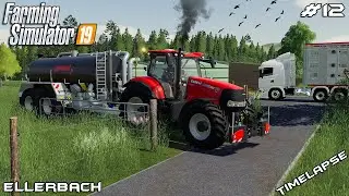 Installing water tanks & getting sheep | Animals on Ellerbach | Farming Simulator 19 | Episode 12