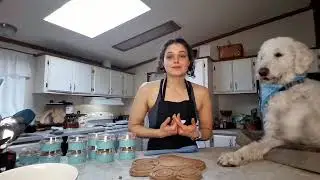 Pup-Safe Pies! Chicken Pot Pies and Apple Pies LIVE!