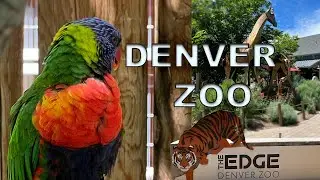 Denver zoo, best place to visit Denver Colorado #denver #zoo