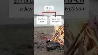 Was Moses Jewish or Egyptian?