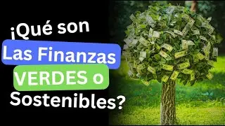 🤑&iquest;Qu&eacute; son las finanzas Verdes o sostenibles? &iquest;C&oacute;mo implementarlas en tu negocio? #sostenibilidad