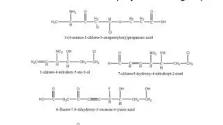 Nomenclature of polyfunctional group