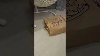 Mysterious Bag MOVES on Its Own, Who's Inside?