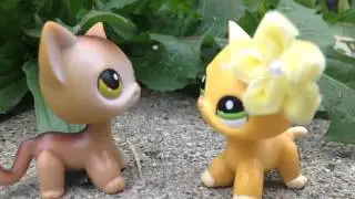 Lps MV thousand years