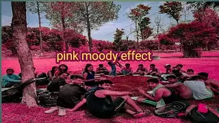 moody pink editing lightroom