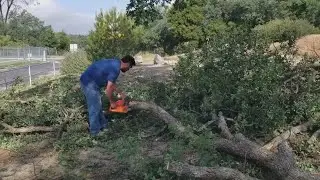Central Valley cleaning up after storm causes downed trees, power outages