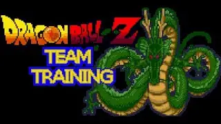 Pokemon! Dragonball Team Training 15