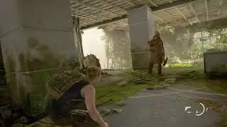 The Last of Us Part 2 - Hostile Territory