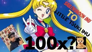 FROM SAILORMOON INU TO LITTLE TSUKI INU TOKEN UPDATED