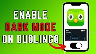 How To Enable Dark Mode on Duolingo? 2024