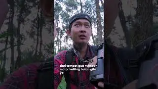 Hal positif ketika hunting Part 1 #photography #macrophotography #outdoors