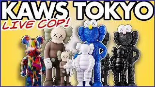 LIVE COP! KAWS Family в KAWS Tokyo First &mdash; лучший цвет, обзор, прогноз на перепродажу и стоит ли оно того?