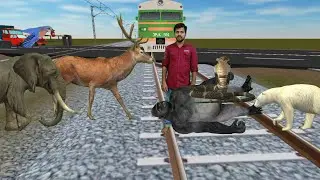 Funny Elephant, polar bear, eagle and train reverse funny magic video