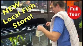 This NEW Shop ROCKS! *Full Tour of MUSIC CITY AQUATICS*