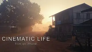 The Art of Not Rushing: A 3-Minute Guide to Phone Filmmaking