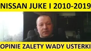 Nissan Juke I opinie, recenzja, zalety, wady, usterki, awarie, jaki silnik, spalanie, ceny, używane?