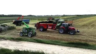 🇫🇷Ensilage XXL de seigle pour une m&eacute;thanisation auboise🇫🇷Des ensembles monstreux 🤩🚜🦌