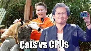 AMD EPYC in 2022, with Milan-X, Zen 4, and Cats 🐈