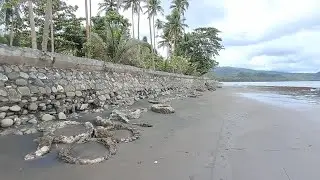 Kondisi swering di pantai desa Ngajam Loloda Utara memprihatinkan!!!